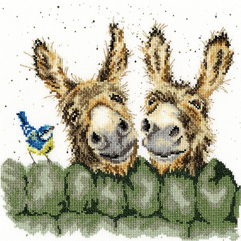 Hee Haw Donkey cross stitch - Hannah Dale