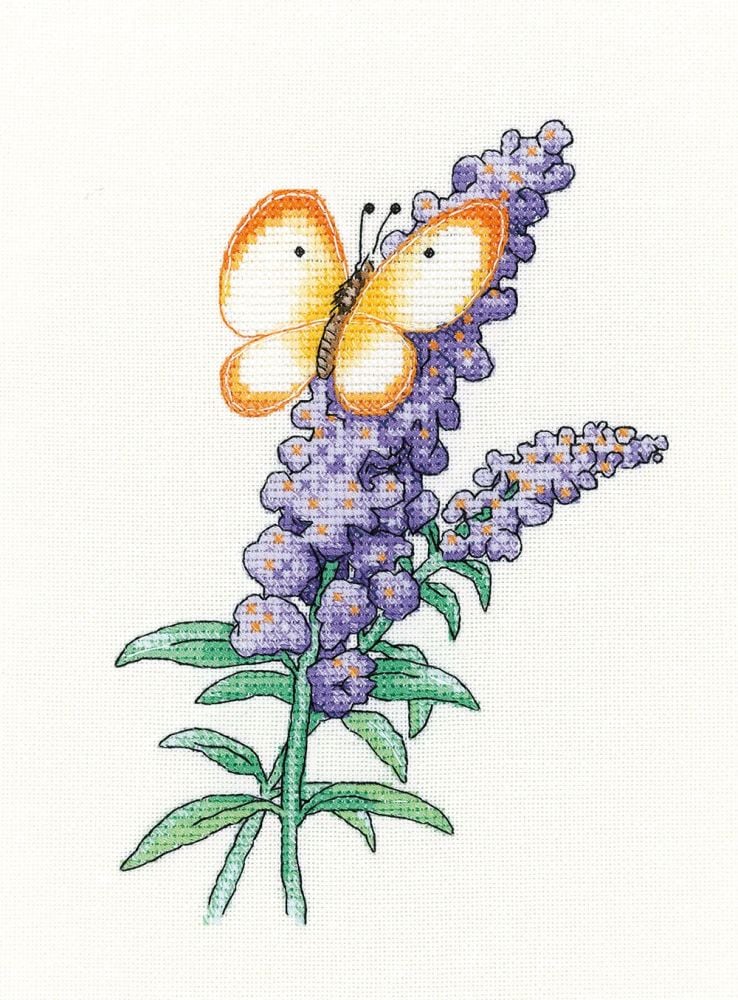 Buddleia Butterfly - Peter Underhill