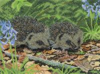 Hedgehogs in Spring - Nigel Artingstall