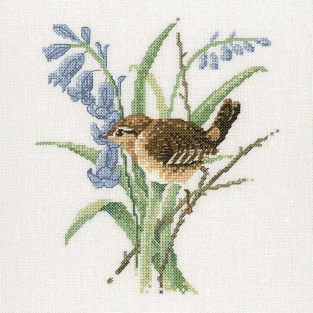 Wren Bird Cross Stitch - David Merry