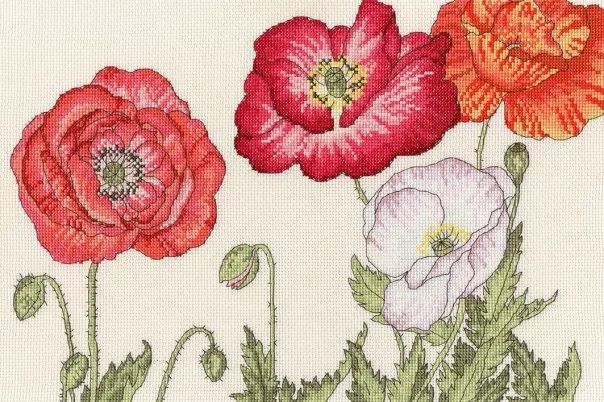 Poppy Blooms - Floral Cross Stitch