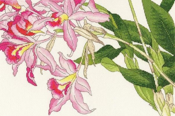 Orchid Blooms - Floral Cross Stitch