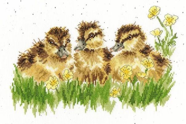 Buttercup Ducklings Cross Stitch - Hannah Dale