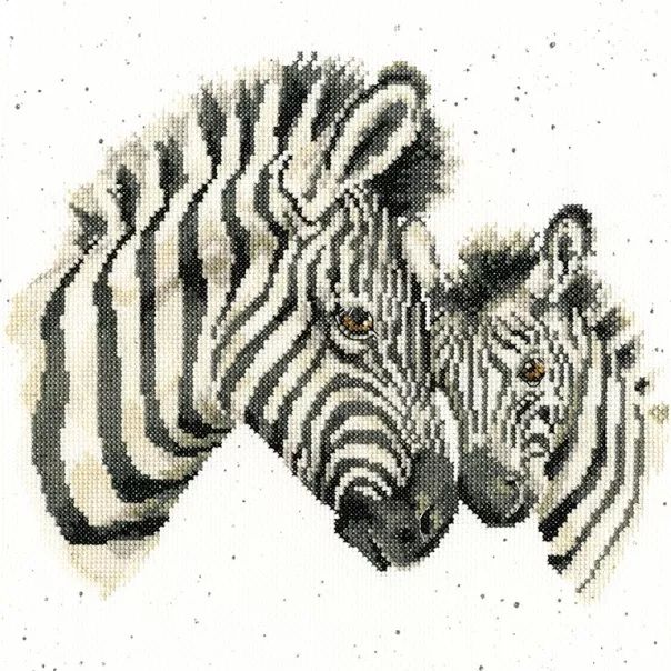 Racing Stripes Zebra - Hannah Dale