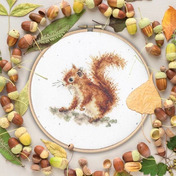 Acorns Squirrel - Hannah Dale