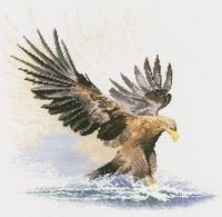 Eagle in Flight - John Clayton Cross Stitch