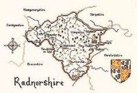 Radnorshire - Map Cross Stitch CHART ONLY