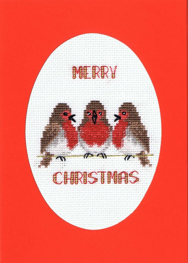 Robin Trio - Christmas Card