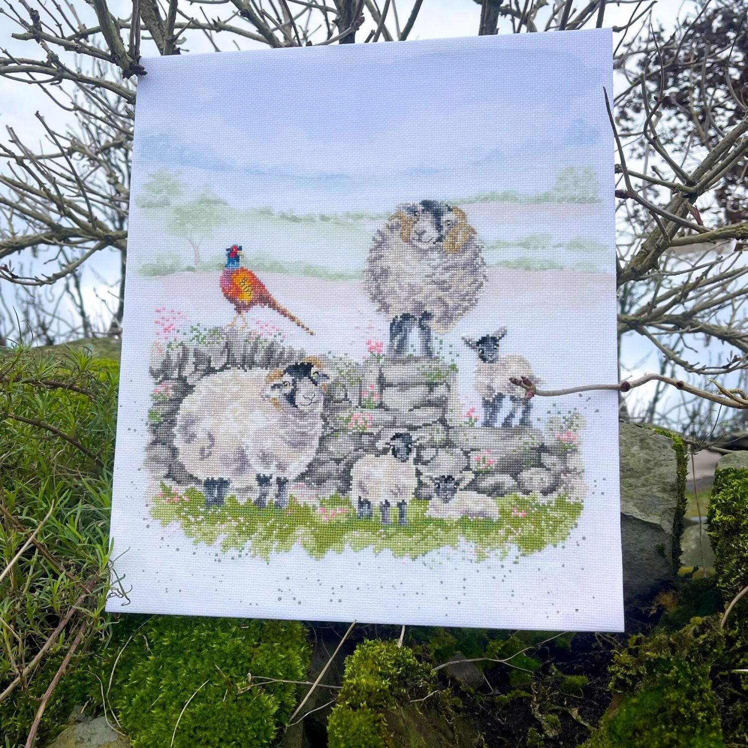 Lettuce Be Friends Aida Wrendale Designs By Hannah Dale Bothy Threads Xhd19