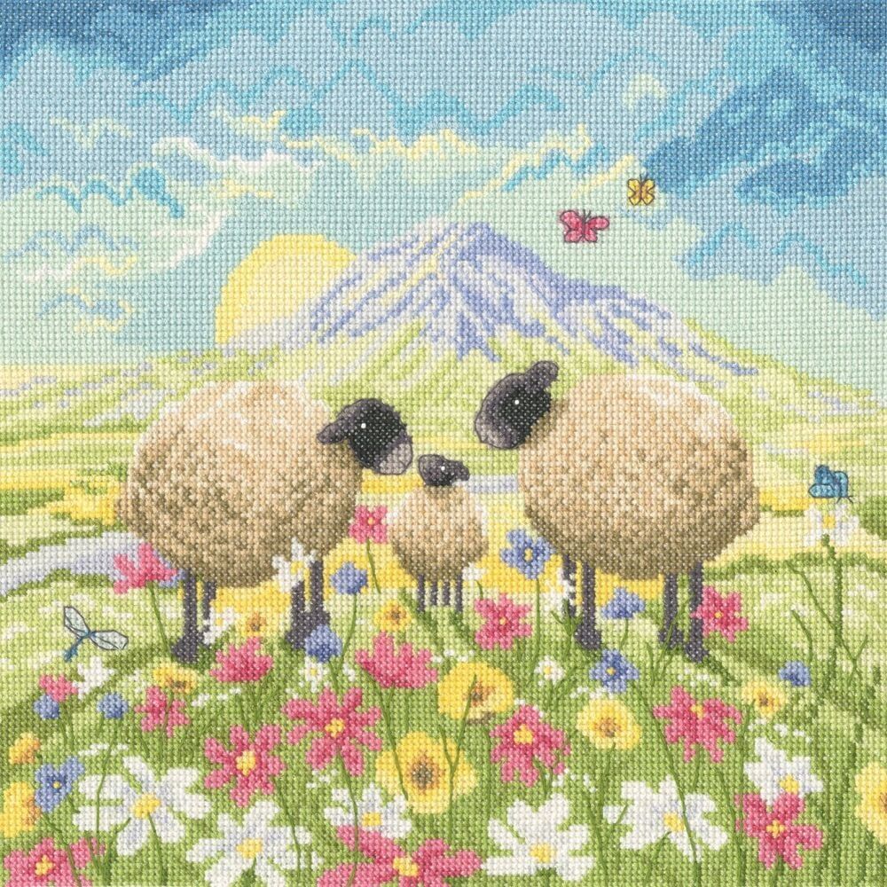 Sheep