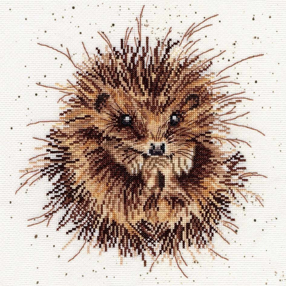 Hedgehogs