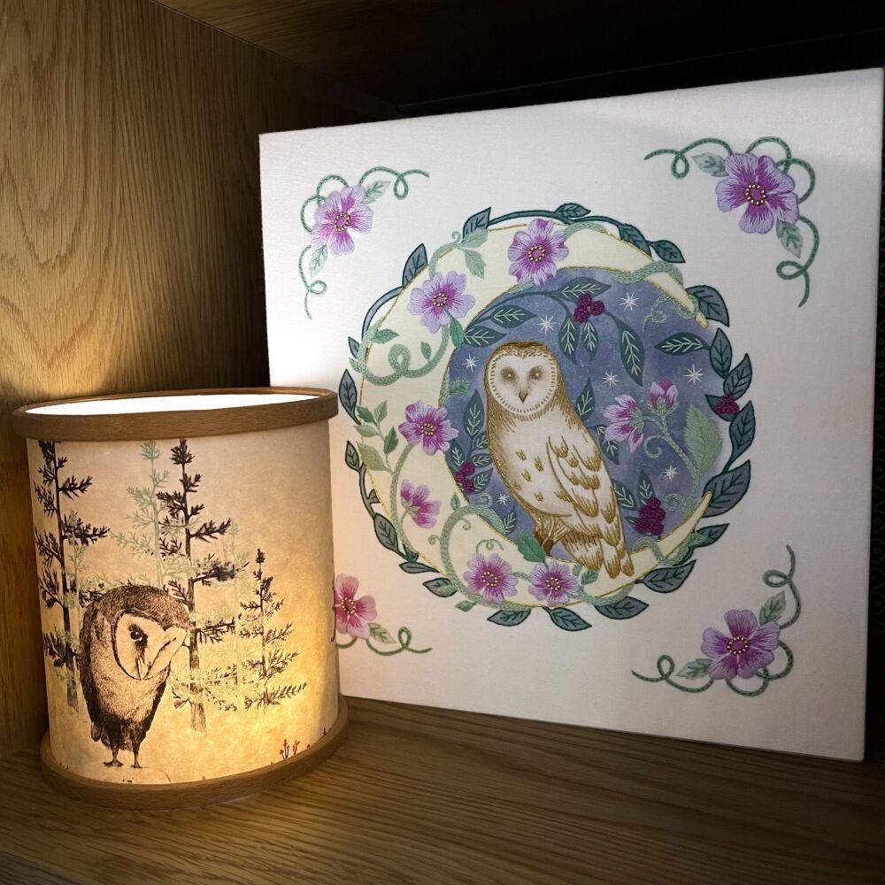 Moonlit Magic Owl Embroidery - Bothy Threads