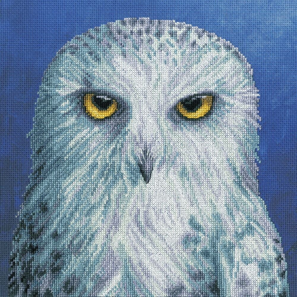 Wisdom Owl Cross Stitch