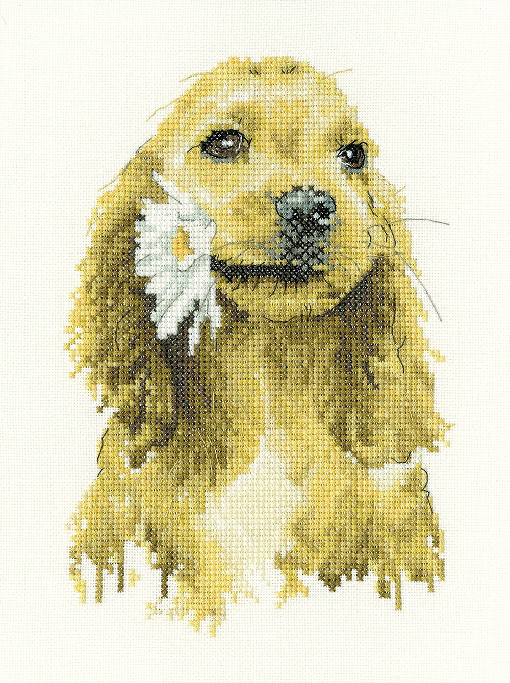 Daisy the Cocker Spaniel - Sarah Reilly Cross Stitch