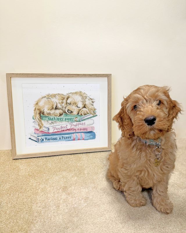A Pup's Life Cross Stitch - Hannah Dale