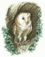 Barn Owl Cross Stitch Kit  - John Stubbs 