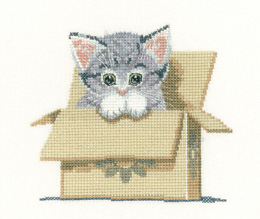 Cat in a Box Cross Stitch